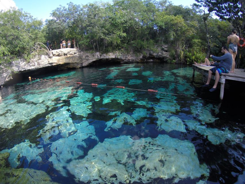 Cancún: Snorkeling With Marine Turtles - Hotel Pickup and Drop-off