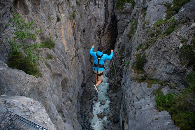 Canyon Swing With OUTDOOR - Harnessing and Suspension System