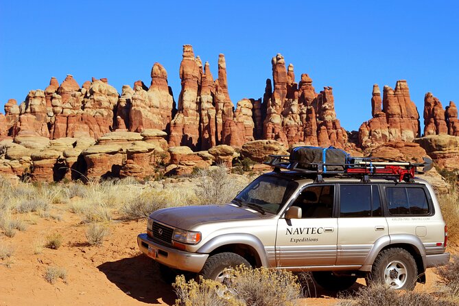 Canyonlands National Park Needles District by 4x4 - Wildlife Encounters and Photography