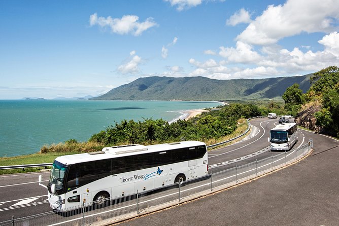 Cape Tribulation & Daintree Wilderness (TCT) - Transportation and Meeting Points