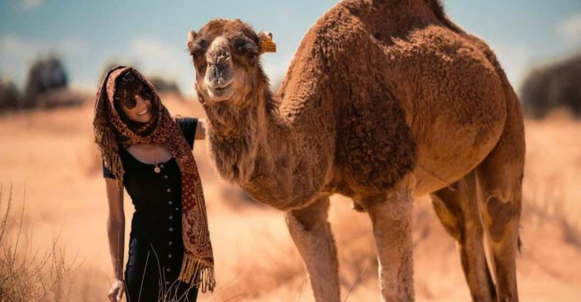 Cappadocia: Camel Safari With Transfer - Customer Feedback