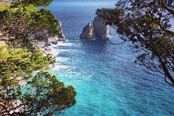 Capri and Blue Grotto Private Tour From Naples or Sorrento - Tour Guide Experiences