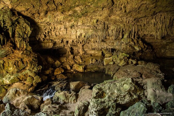 Caracol Maya Ruins Tour Including Rio On Pools, Rio Frio Cave and a Picnic Lunch - Inclusions of the Tour