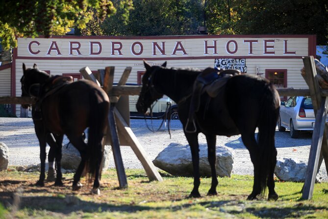 Cardrona High Country Pub Trail Horse Riding Trek (Adventurous) - Tips for an Enjoyable Ride