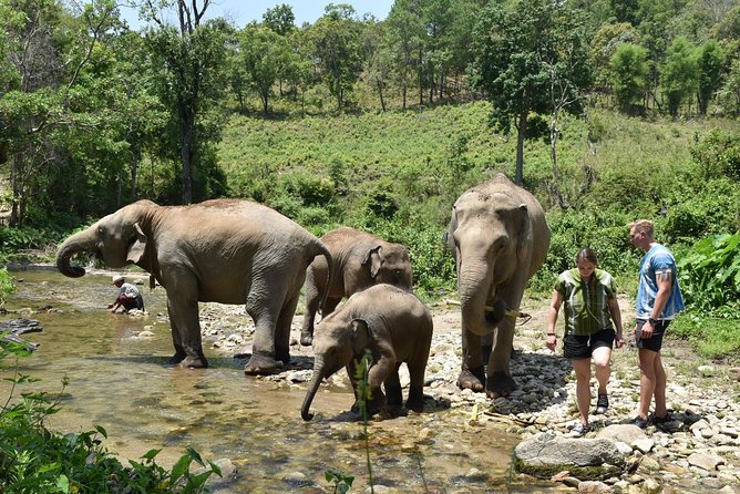 Care Pride Elephants: Full-Day Tour Experience - Recommended Attire