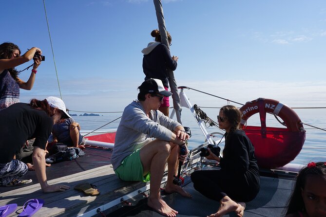 Carino Wildlife Cruises - Island and Wildlife Day Cruise - Meeting and Pickup Information