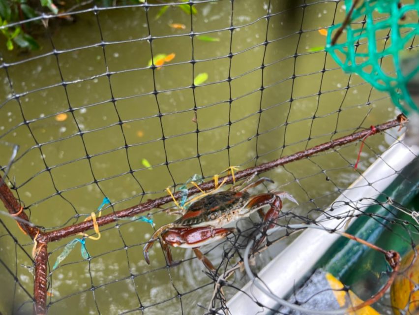 Cartagena Fishing, Crabbing, Birdwatching Experience + Lunch - Location Details