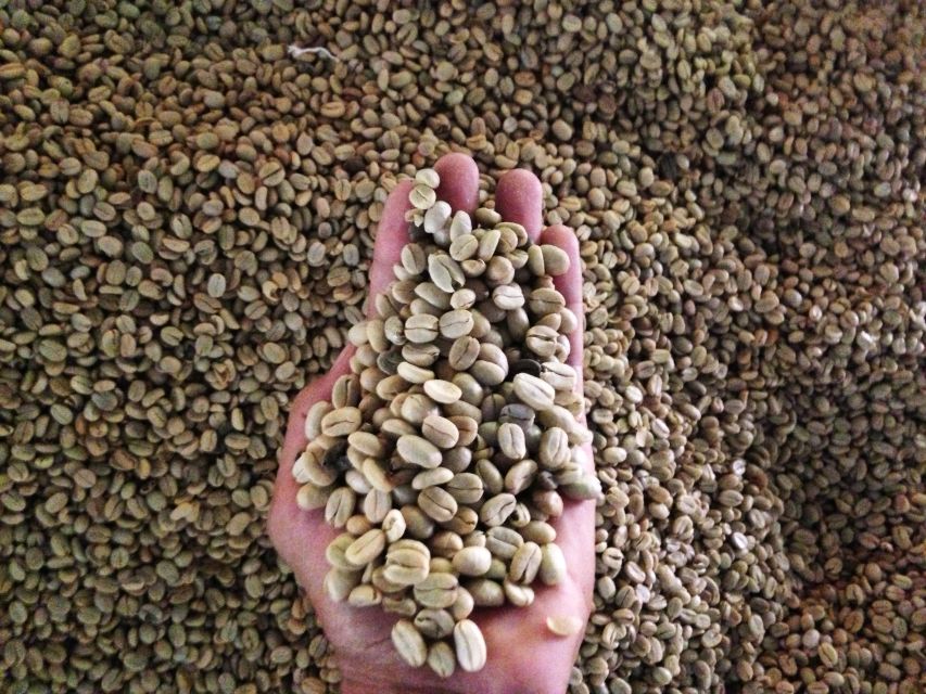 Cartagena: Full-Day Coffee & Cocoa Farm Tour - Pricing and Booking Information