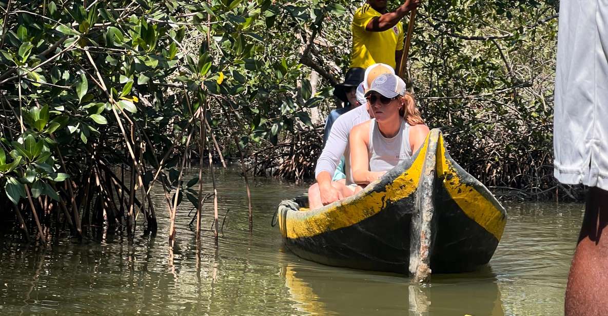 Cartagena Native Fishing Through The Mangroves - Whats Included