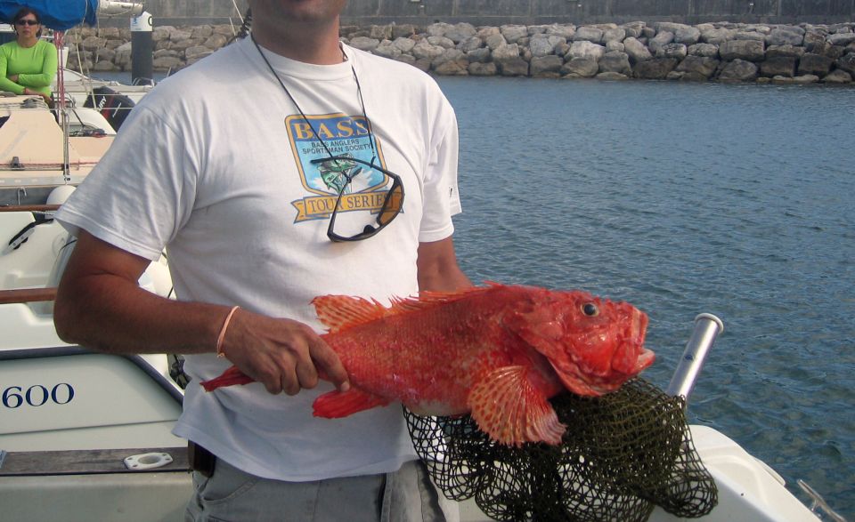 Cascais Deep-Sea Fishing Trip - Catching Various Fish Species