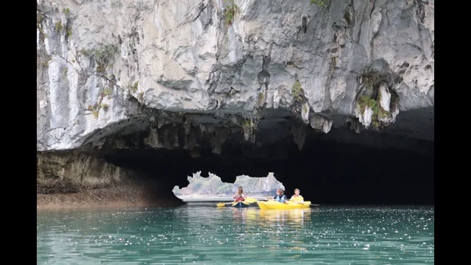 Cat Ba: Lan Ha & Ha Long Bay Kayak & Snorkel Boat Tour - Inclusions and Equipment