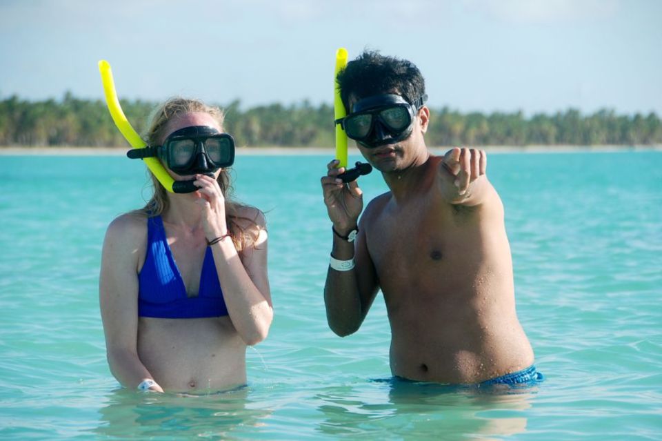 Catalina Island Snorkeling Dominican Republic - Highlights of the Tour