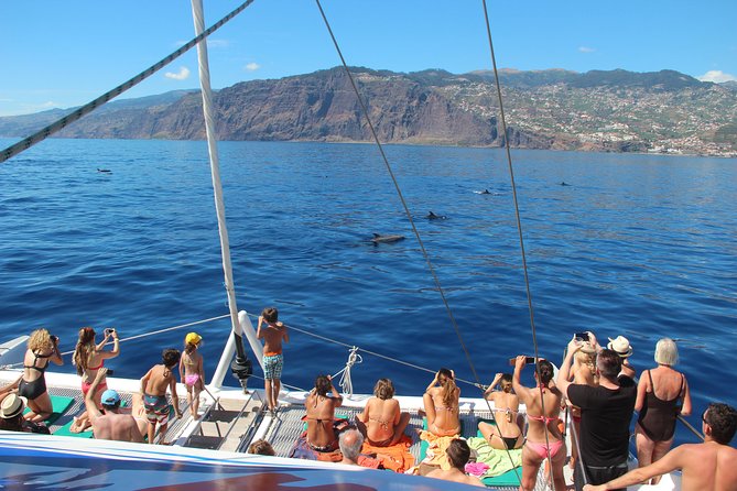 Catamaran Sunset Cruise From Funchal - Whale and Dolphin Sightings
