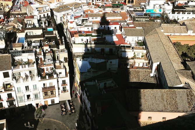 Cathedral and Royal Alcázar - Navigating the Cathedral and Alcázar