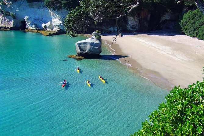 Cathedral Cove Kayak Tour - What to Expect