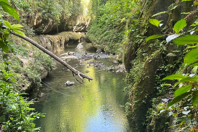 Cave Adventure: Canyon and Hidden Waterfall in Charco Azul - Participant Reviews