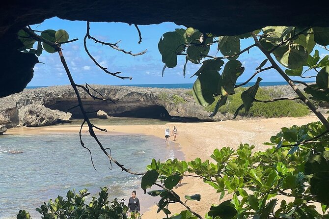 Cave Hopping Tour - Special Offers and Pricing