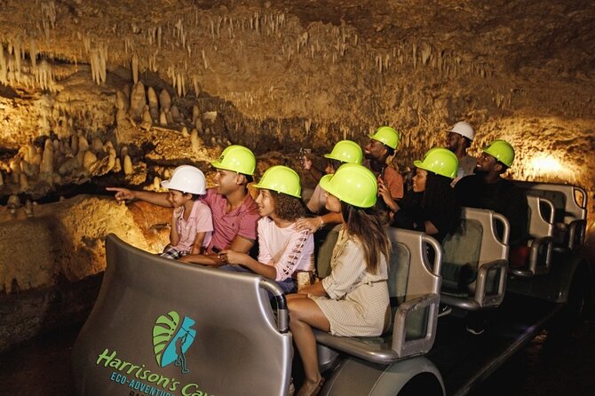 Cave & Monkey Zipline Experience at Harrisons Cave by Chukka - Guest Feedback