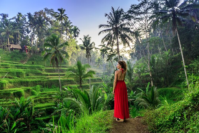 Cave Tubing Adventure & Rice Terrace - Suitability and Safety Considerations