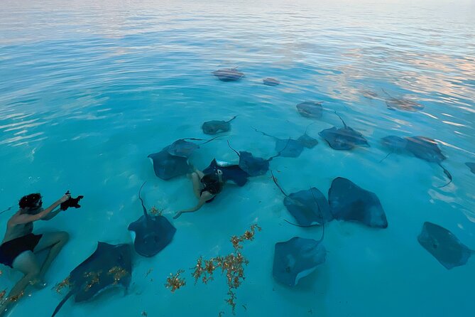 Cayman Private Luxury Charters - Stingray City, Snorkel, & More - Customer Experiences