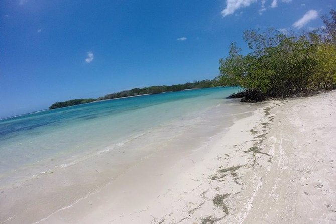 Cayo Arena, Paradise Island Tour - Tips for Travelers