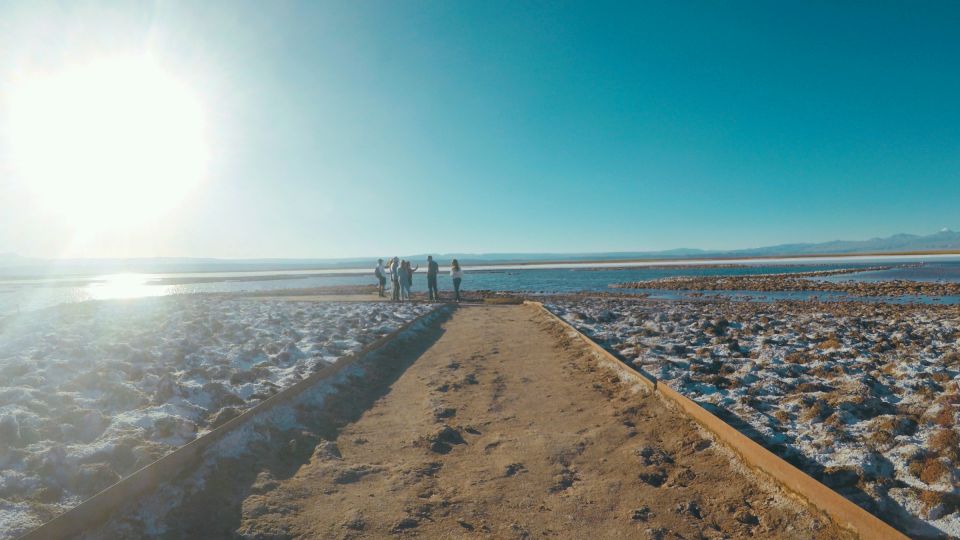 Cejar Lagoon Tour - Flotation, Cocktail & More! - Ojos Del Salar Springs