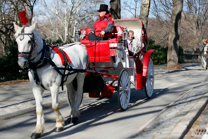 Central Park and NYC Horse Carriage Ride OFFICIAL ( ELITE Private) Since 1970™ - Booking Your Carriage Ride