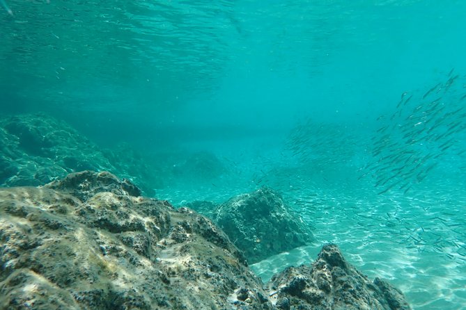 Certified Guided Reef Dive in St Thomas - Dive Depth and Suitability