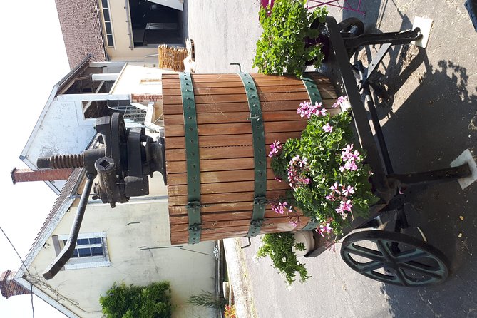 Champagne Lamiable: Traditional Tour & Tasting - The Winemaking Process