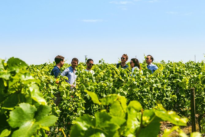 Champagne Small-Group Tour With Tastings and Lunch From Epernay - Lunch With Champagne Pairing