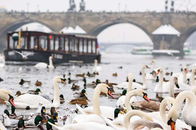 Charles Bridge: River Boat Cruise & Guided Tour ️with PragueWay - Infant and Medical Restrictions