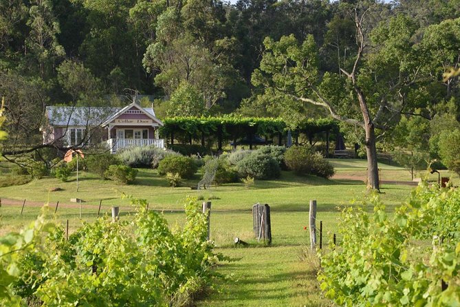 Chef-Led Hunter Valley Gourmet Food and Wine Day Tour From Sydney - Whats Included