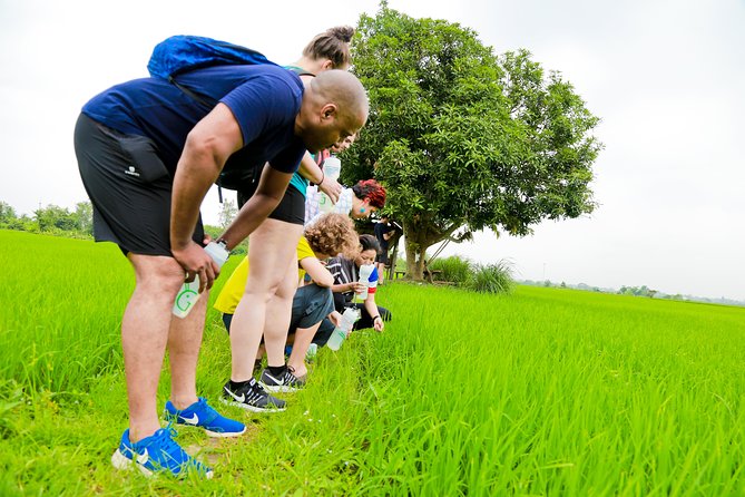 Chiang Mai Active E-bike Countryside Ride - Customer Reviews and Feedback