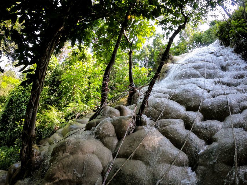 Chiang Mai: Boat Ride and Cycling Tour to Sticky Waterfall - Cycling Through Forests