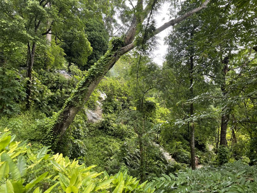 Chiang Mai: Enjoy Climbing Sticky Waterfall - Logistical Details