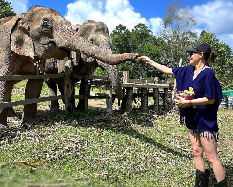 Chiang Mai : Ethical Elephant Sanctuary and ATV Adventure - Feeding and Interacting With Elephants