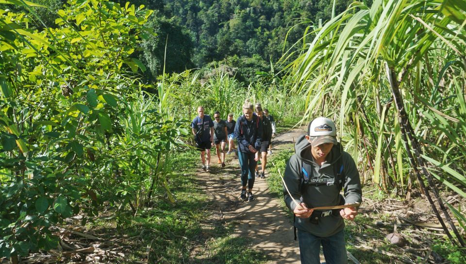 Chiang Mai: Guided Jungle and Waterfall Trek With Transfer - Highlights