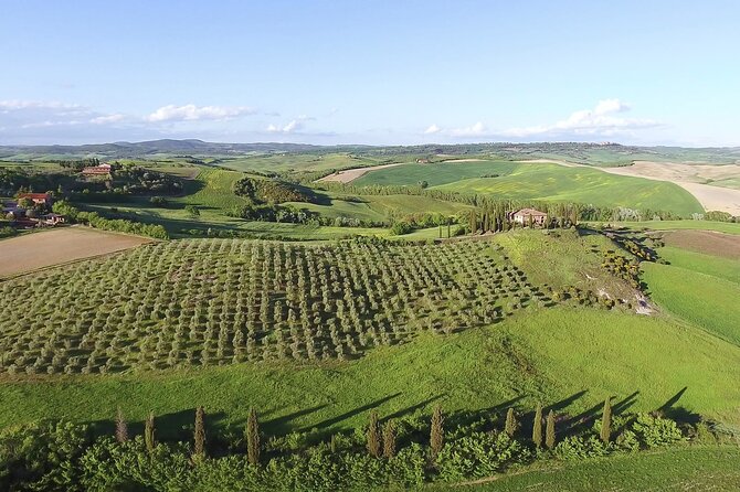 Chianti Wine Tour From Florence - Family-run Winery Experience