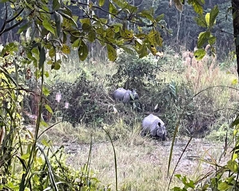 CHITWAN NATIONAL PARK FULL DAY PRIVATE JEEP SAFARI FROM MADI - Itinerary and Route