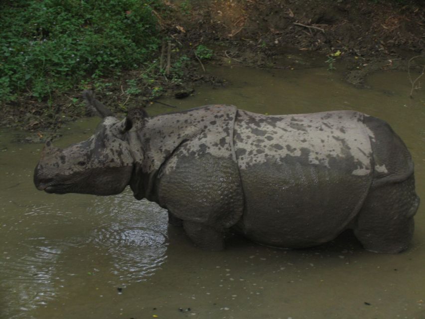 Chitwan National Park Safari - Significance of Chitwan National Park