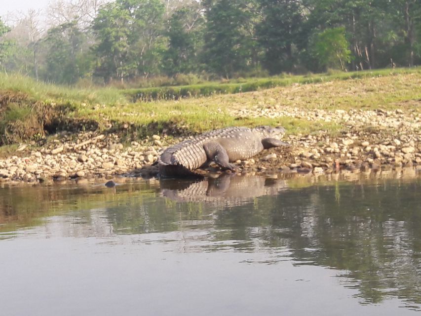 Chitwan National Park Tour - Park Significance