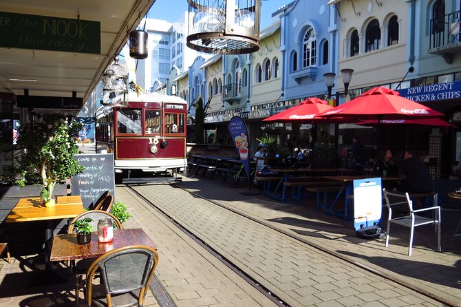 Christchurch - City, Beaches, Port & More by Tesla -6hrs - Customer Reviews