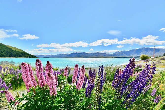 Christchurch-Lake Tekapo Special Pick-up Plan - Participation Requirements