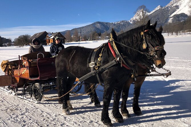Christmas Horse-Drawn Sleigh Ride From Salzburg - Taking in the Wintry Scenery