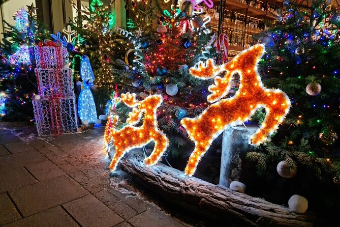 Christmas Lights Bike Tour of London - Whats Included in the Tour