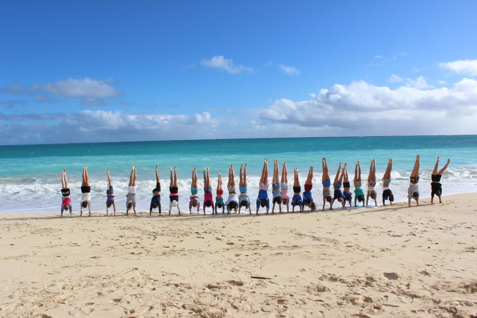 Circle Island: Swim With Turtles And Explore Paradise Oahu - Inclusions