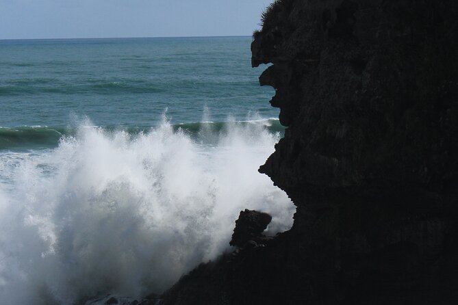 City to Piha - Auckland Day Expedition - Scenic Walks and Hikes