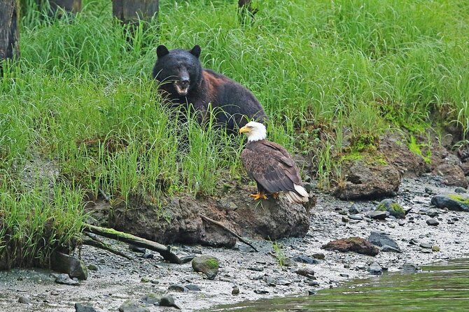 Clan House Tours: Native Cultural and Scenic Shore Excursion - Meeting and Pickup Details