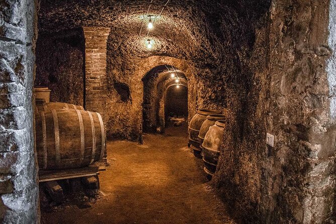 Classic Half-Day Wine Tour in Frascati With Lunch - Traveler Reviews Highlights