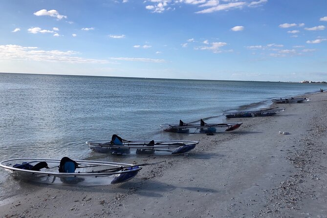 Clear Kayak Guided Tours in Naples - Customer Feedback and Recommendations